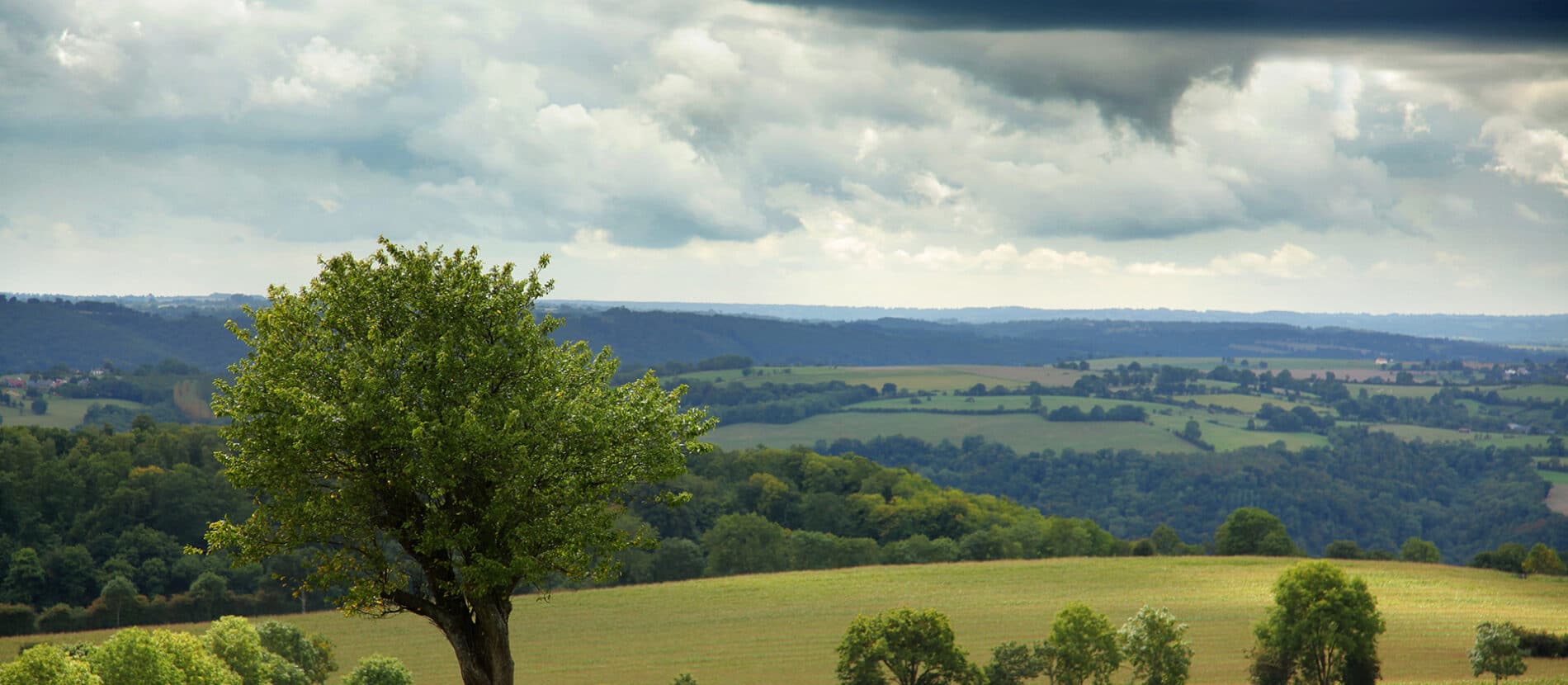 Paysage nature en Suisse normande