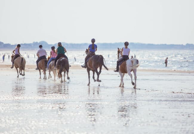 Chevaux au galop sur la plage