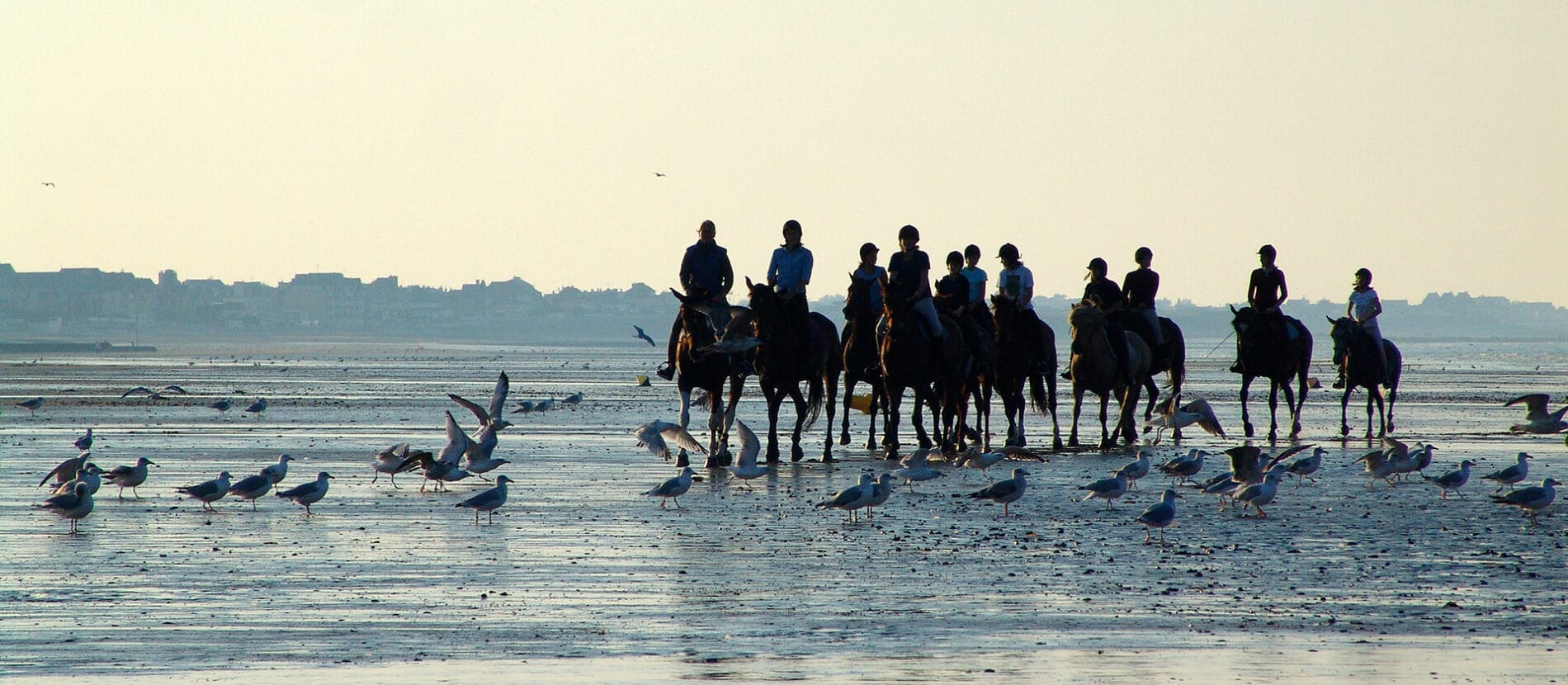 Balade à cheval sur la plage