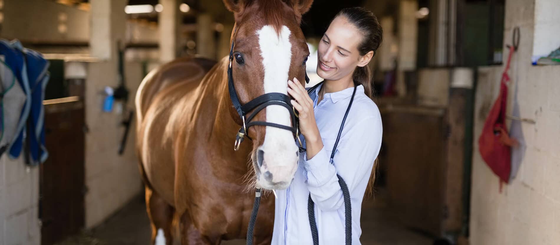 Une cavalière et son cheval