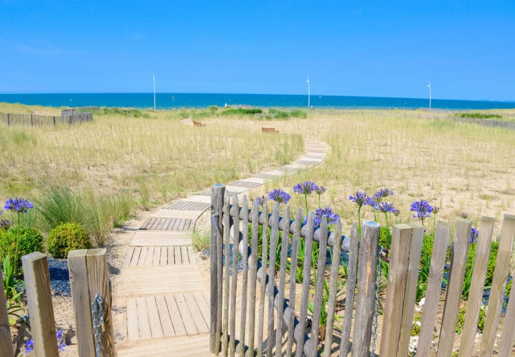 Chemin dans les dunes menant à la plage de Cabourg