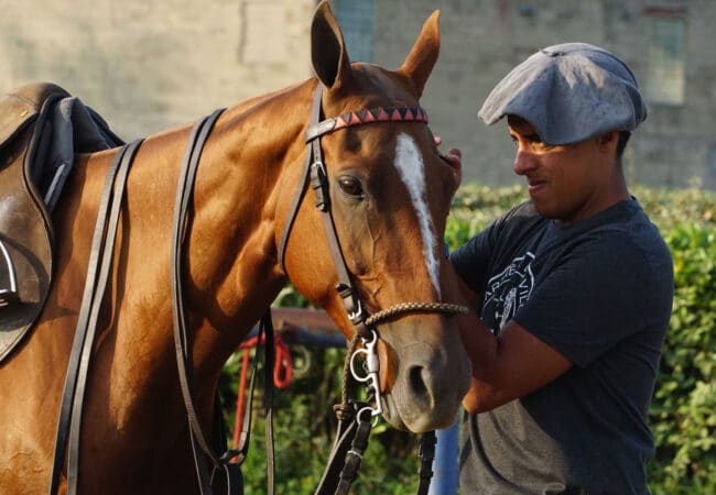 Homme en train de préparer son cheval