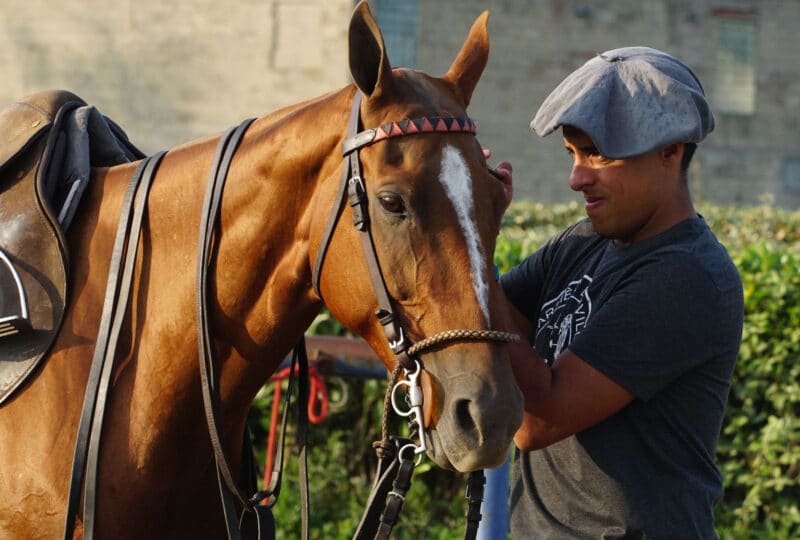 Homme en train de préparer son cheval