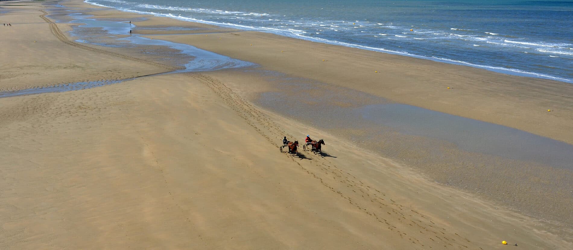 Sulky sur la plage de Blonville