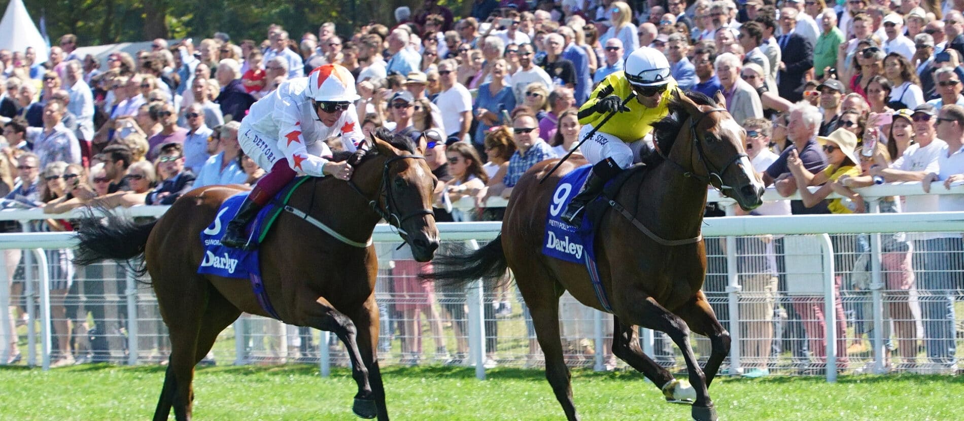 Deux chevaux et leurs jockey en pleine course à l’hippodrome