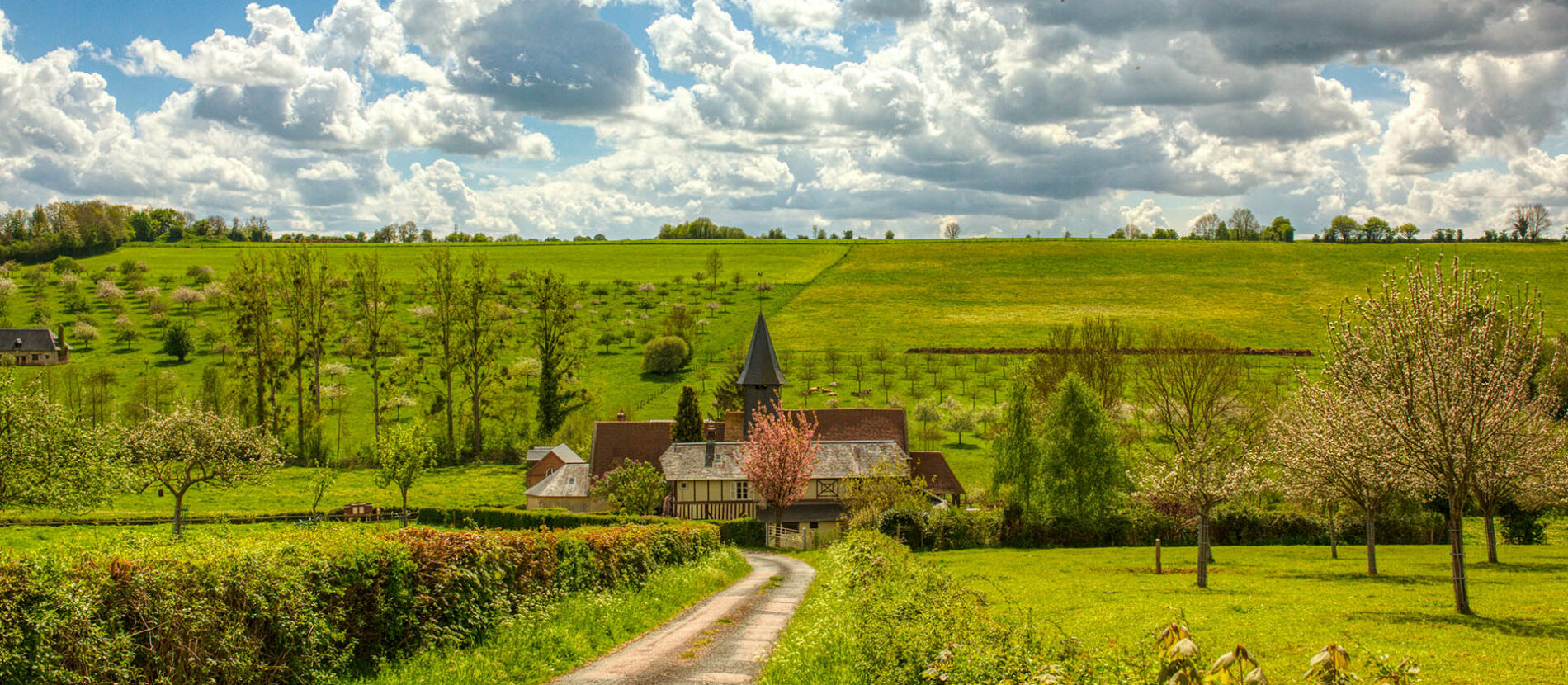 Paysage nature à Beuvron-en-Auge