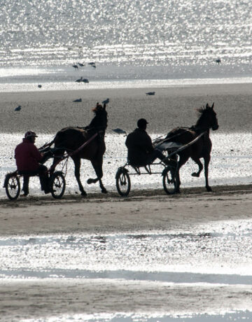 Entraînement de sulky sur la plage