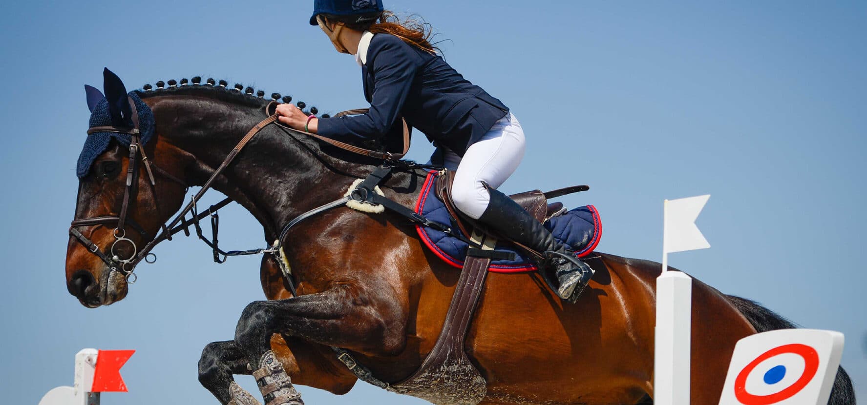 Un cavalier et son cheval en concours