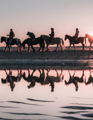 balade à cheval sur la plage au coucher du soleil