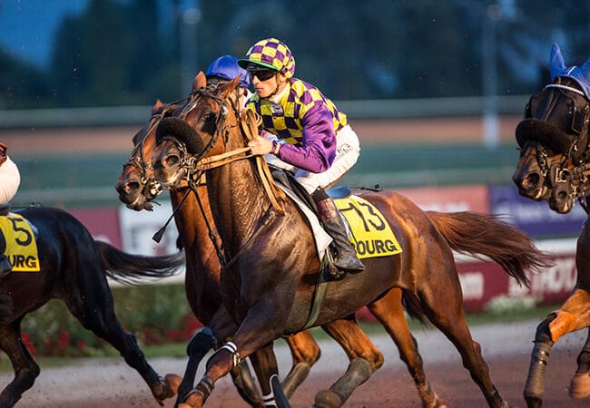 Jockey sur son cheval pendant une course à l'hippodrome