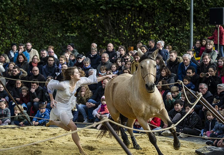 Spectacle cheval