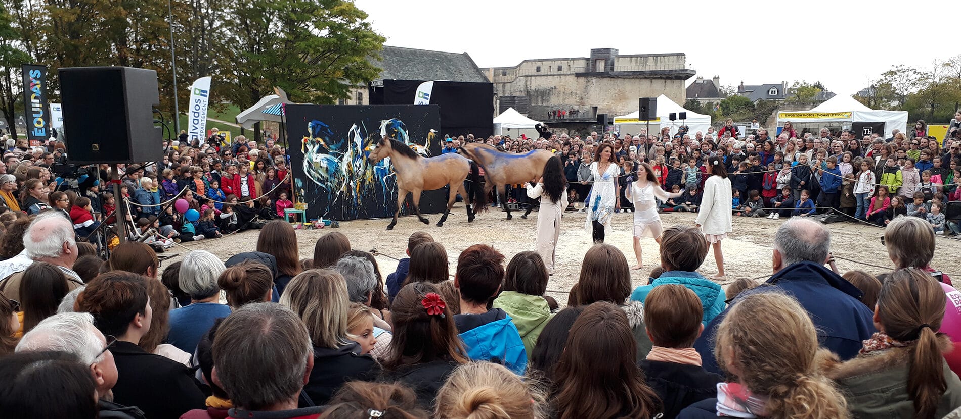 Spectacle en plein air de chevaux