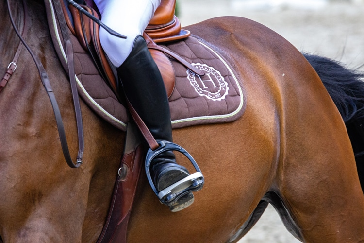 Equipement du cavalier sur le dos d'un cheval