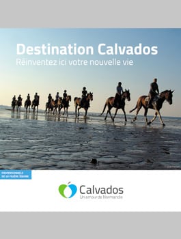 Destination Calvados Professionnels De La Filière équine