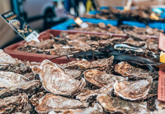 Fête De La Coquille Saint Jacques